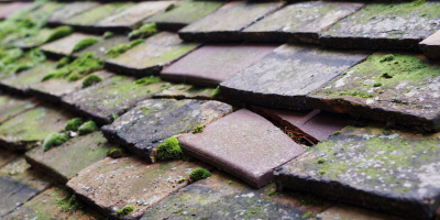 Heneglwys roof repair costs